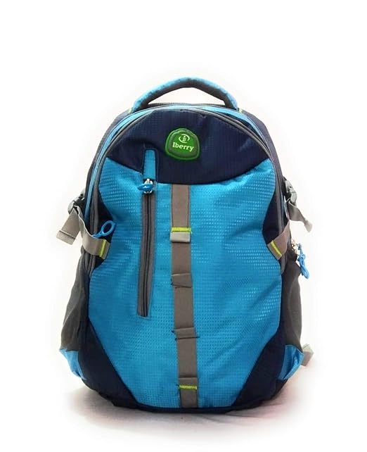 I Berry Polyester Casual Laptop Bags/Backpack for Men with Adjustable Strap Expendable with 2 Compartments .(Under 500) Rs.