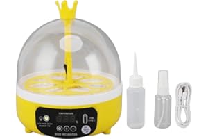Mini Egg Incubator with Digital Temperature Control, 4-Egg Capacity, 360° Visual Candler for Chickens, Parrots