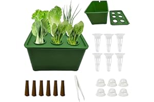 Hydroponic Growing System for Indoor Plants, Efficient Indoor Hydroponics Growing System Kit with Transparent Dome & Tools fo