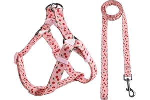 Olahibi Harness and Leash Set, Fruit Pattern, 5ft Matching Leash, No Pull, Easy Wear for Small Dogs.(S, Pink Cherry)