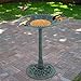 Nova Microdermabrasion 28 Inch Height Pedestal Bird Bath - Antique Green Resin Birdbath for Vintage Decoration in Outdoor Garden Courtyard