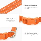 YFbrite LED Cat Collar Small Dog Collar USB Rechargeable Orange XS view 7
