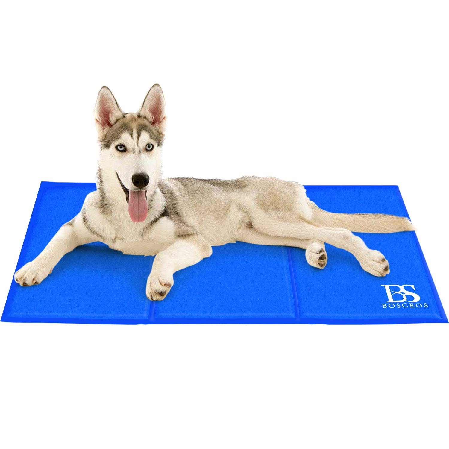 dog cooling accessories