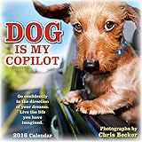 Dog is My Copilot 2016 Wall Calendar by