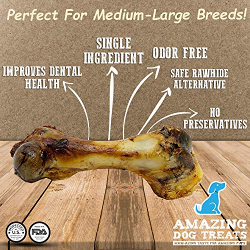 68 Inch Meaty Pork Femur Ham Bone (3 Count) Made in USA Large Bone