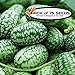 Cucamelon Seeds (75+ Pack) Mexican Sour Gherkin Mini Watermelon Non-GMO Heirloom Seeds by PowerGrow Systems