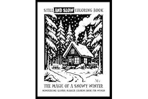 Still and Slow Coloring Book - The Magic of a Snowy Winter - Monochrome Alcohol Marker Coloring Book for Women: Nostalgic Lan