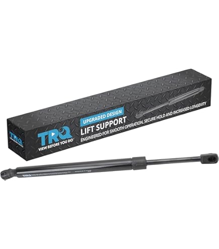 Amazon.com: NEWZQ Rear Left Trunk Lift Support Shock 1669803764