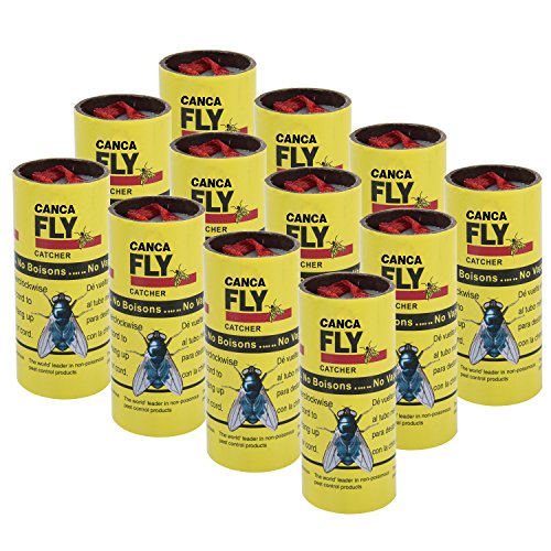 CANCA Sticky Fly Ribbons Fly Paper Catcher Insect Trap, 12-Pack