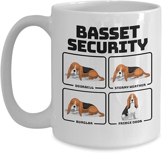 automatic water feeders