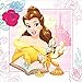 Cedar Crate Beauty and The Beast Party Supplies Pack for 16 Guests Including Paper Cups, Paper Dinner Plates, Paper Lunch Napkins, Paper Straws, and Plastic Table Cover (Bundle for 16)