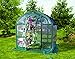Flower House FHSP300CL SpringHouse Greenhouse, Clear