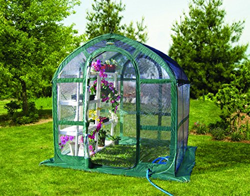 Flower House FHSP300CL SpringHouse Greenhouse, Clear