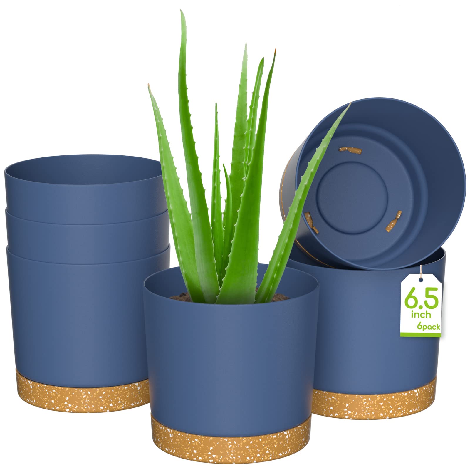 ZMTECH Flower Pot, 6 Indoor Plant Pots with Holes and Saucer, 16.5CM Plastic Planters Nursery Seeding Pot with Tray for Indoor Outdoor Bonsai Plants, Aloe Cactus Tomatoes Potatoes - Blue