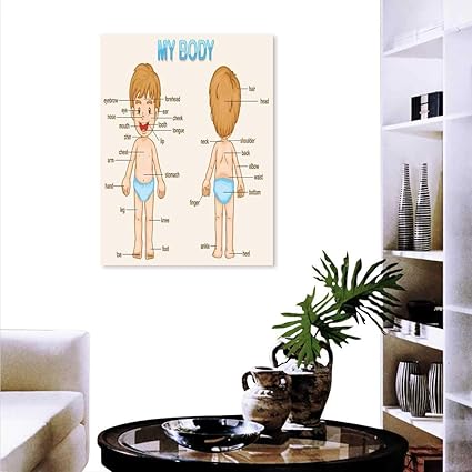 Amazon Com Anyangeight Educational Canvas Wall Art Bedroom