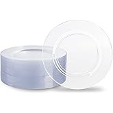 N9R 100PCS Clear Plastic Plates, 10.25 inch Clear Disposable Dinner Plate, Heavy Duty Plates for Party, Wedding, Birthday and Events