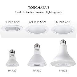 TORCHSTAR PAR38 LED Flood Light Outdoor
