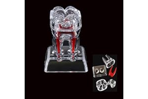 SEUJJRO Dental Model Removable Transparent Tooth Anatomy Molar Model For Teaching Studying Clinic Decoration