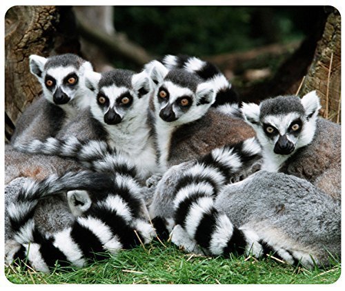 Lemur customized rectangle mousepad, mouse pad