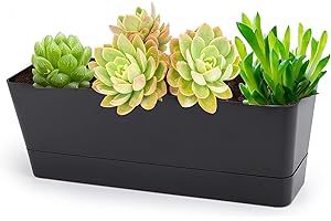 GREANER 12x3.8 Inch Herb Planters, 1 Pack Rectangle Window Boxes with Tray, Indoor Succulent Cactus Mint Plastic Pot for Windowsill, Balcony, Office, Outdoor Garden - Black
