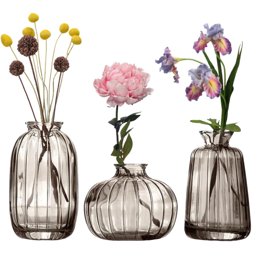 MEETOZ Glass Bud Vase Set of 3- Small Vases for Flowers, Home Table Flower Decor, for Office or Wedding Events