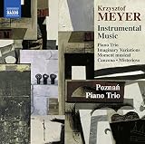 INSTRUMENTAL MUSIC                                 image