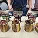 PS Seasoning Jerky Seasoning and Cure Kit (Sweet & Hot) - Grand Champion American Association of Meat Processors Award - Wild Game Hunters - Jerky Cure - Dehydrated - Beef, Turkey, Venison - DIY