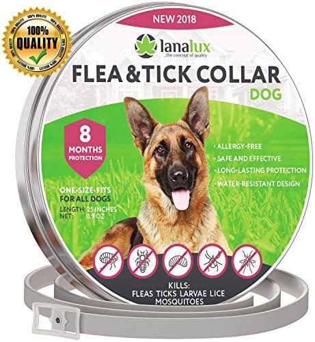 Dog Collar Pet Essential Oil Pest Control Collars Flea and Tick Prevention for Dogs One Size Fits ALL 8 Months Protection Collar with Natural Plant Extracts