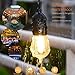 EAGWELL Outdoor Commercial String Lights, 24 Feet Heavy Duty Weatherproof Vintage Patio Lights - 12 Hanging Sockets with 14 Bulbs UL Certification Backyard Lighting Perfect Patio Garden or Party