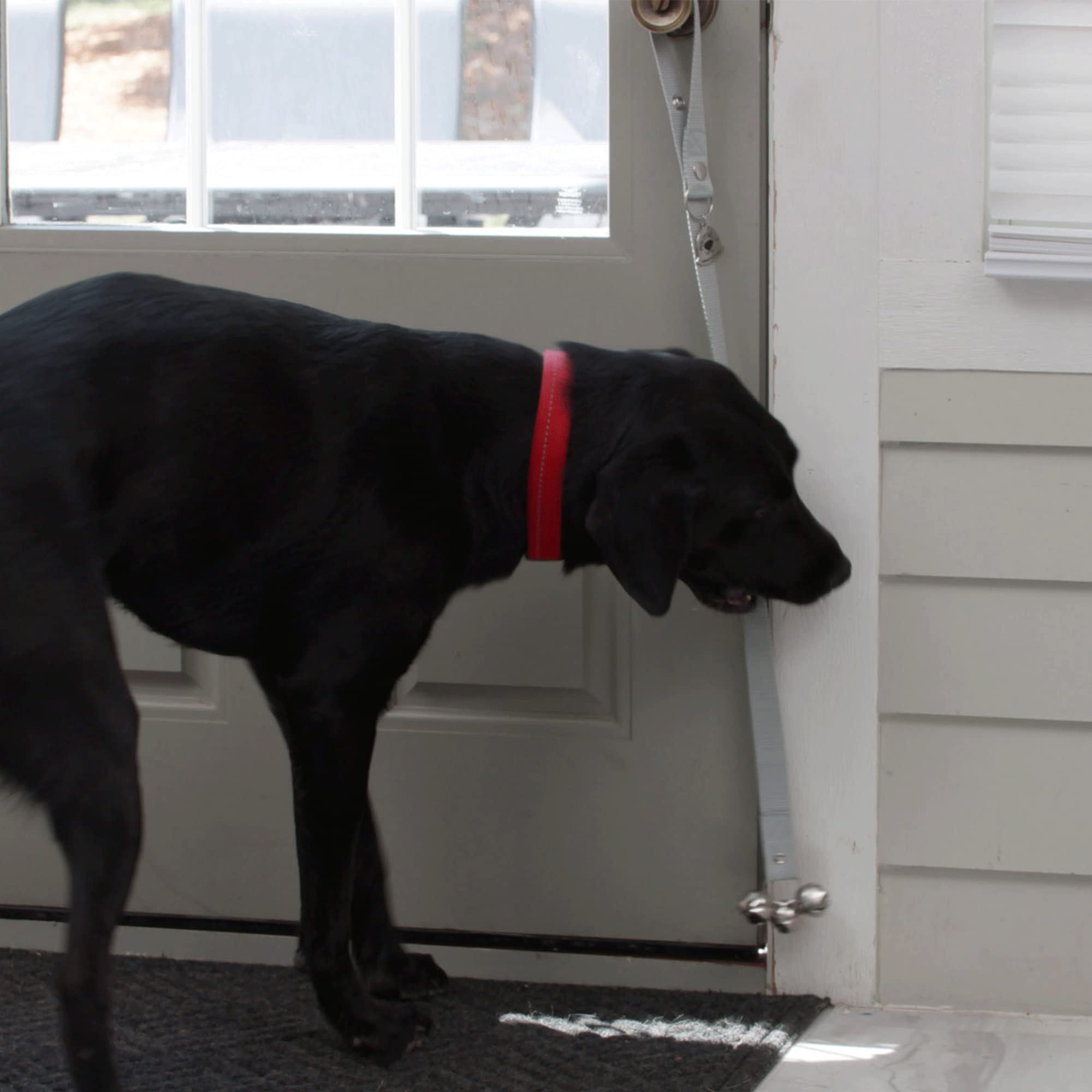 Caldwell's Dog Potty Bell for Dogs to Ring to Go Outside The Original