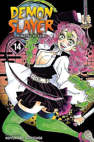 Amazon.com: Demon Slayer T16 (MANGA SHONEN) (French Edition) eBook