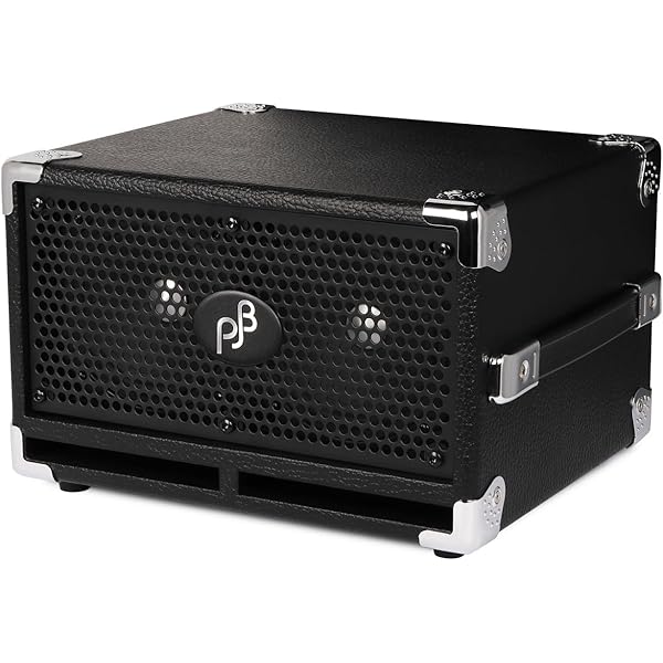 PJB（Phil Jones Bass） BASS CUB PRO Phil Jones Bass BG-120 Bass Cub Pro 2x5” 120W Combo Amp w