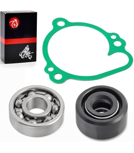 Amazon.com: MG 321117 Water Pump Gasket for Kawasaki Kx250