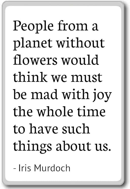 Imán para nevera con citas de Iris Murdoch, Blanco: Amazon.es: Hogar