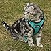 rabbitgoo Cat Harness Escape Proof Small Dog Vest Harnesses, Adjustable Soft Mesh Kitty Harness for All Weather Walking, Padded Vest with Metal Leash Clip for Small Pets Puppies Kittens Rabbits