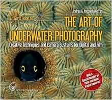 A Diver S Guide To The Art Of Underwater Photography