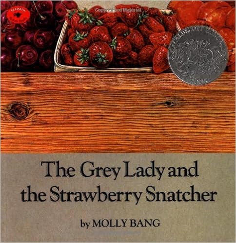 The Grey Lady and the Strawberry Snatcher by Molly Bang