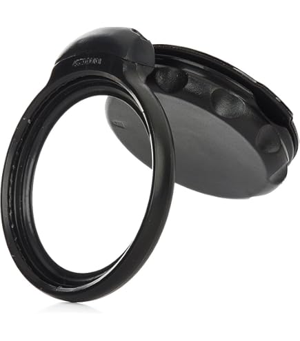 Amazon.com: TOMTOM Original OEM EasyPort Mount for TOM TOM