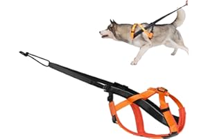 Dog Pulling Harness, Adjustable Dog Sled Harness for Behaviors Training, Weight Pulling, Canicross, Ski-Joring, Orange