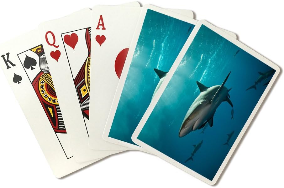 Caribbean Reef Sharks (Playing Card Deck - 52 Card Poker Size with Jokers)