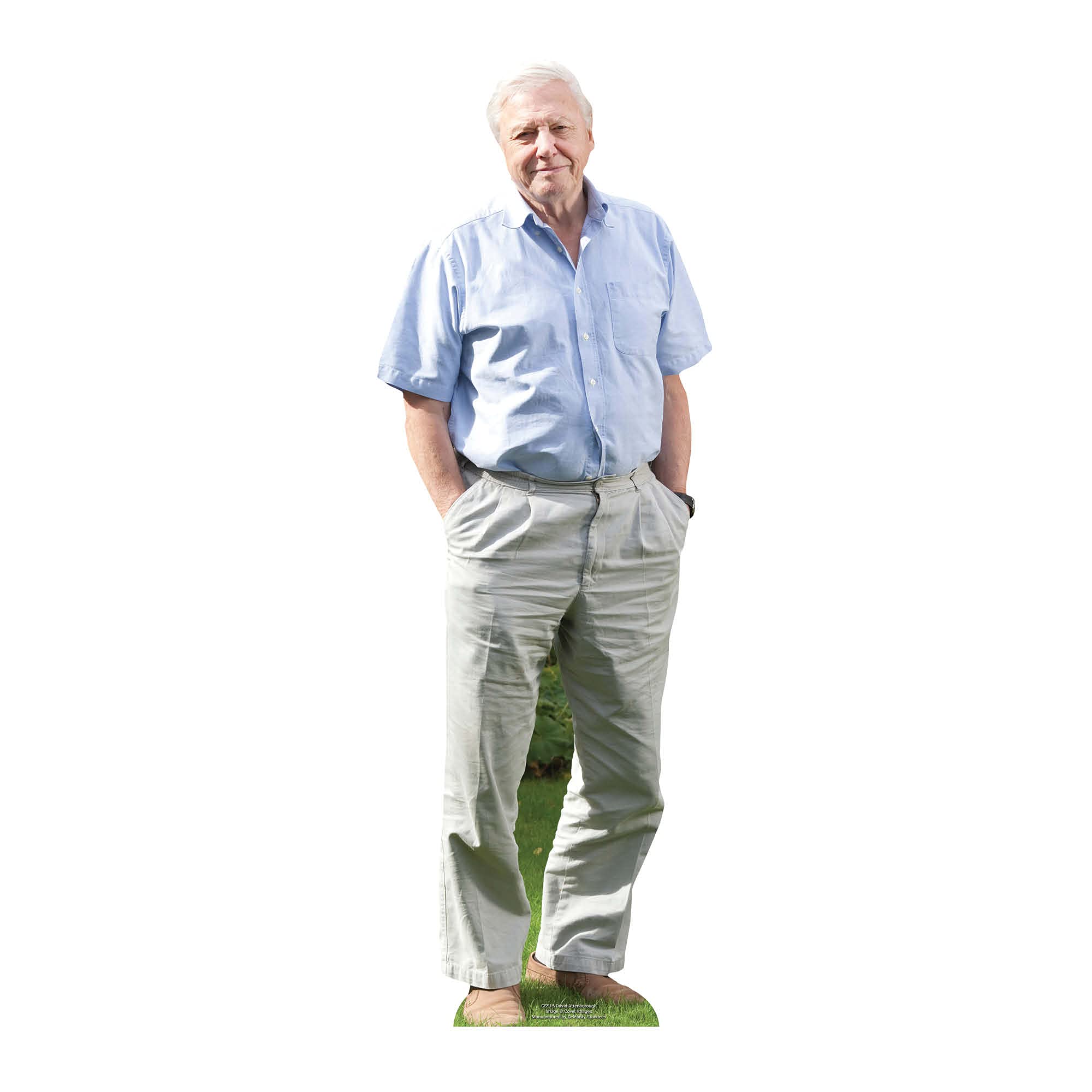 Star Cutouts CS915 David Attenborough Star Mini Cardboard Cutout – Nature Icon Shelf Display, Gift & Collector Decoration