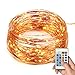 BMOUO Rope String Lights , 20Ft 120 LED Lights String 120 LEDs on Copper Wire LED Starry Flexible Lights with 12v Power Adapter and a Remote Control For Christmas Wedding and Party (Warm White)