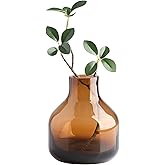 Torre & Tagus Solid Color Round Art Glass Vase for Flowers - 5" Tall Unique Flower Vase, Clear Handmade Bottle Vase for Home Decor, Bud Vase as Decorative Shelf Decor or Wedding Gift, Amber Orange