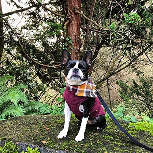 Gooby Zip Up Fleece Dog Sweater Fuchsia Wash, XLarge Warm Pullover Fleece Stepin Dog