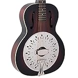 Recording King RR-41-VS Rattlesnake Wood Body