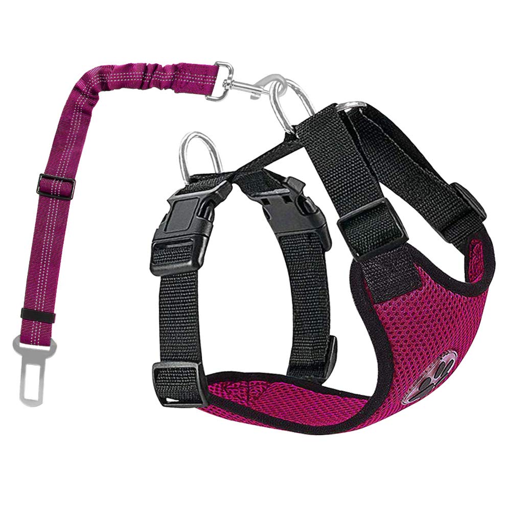 Best dos car seat belt