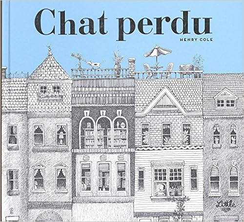 chat-perdu