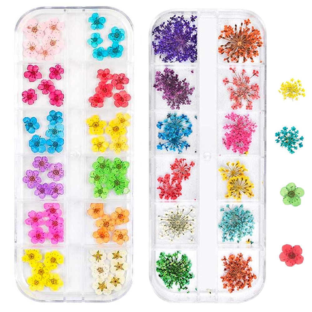 3D Nail Dried Flowers Sticker Set, CHANGAR Real Dried Flowers for Nail Art & Resin Craft DIY Five Petal Flower Leaf Gypsophila Dry Flower Nail Art Decoration Kits(2 Boxes)