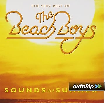 The sounds of summer very best of the beach boys