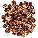 6 Ounces of Assorted Size Mini Natural Pinecones for Potpourri, Bowl Fillers, and Crafting